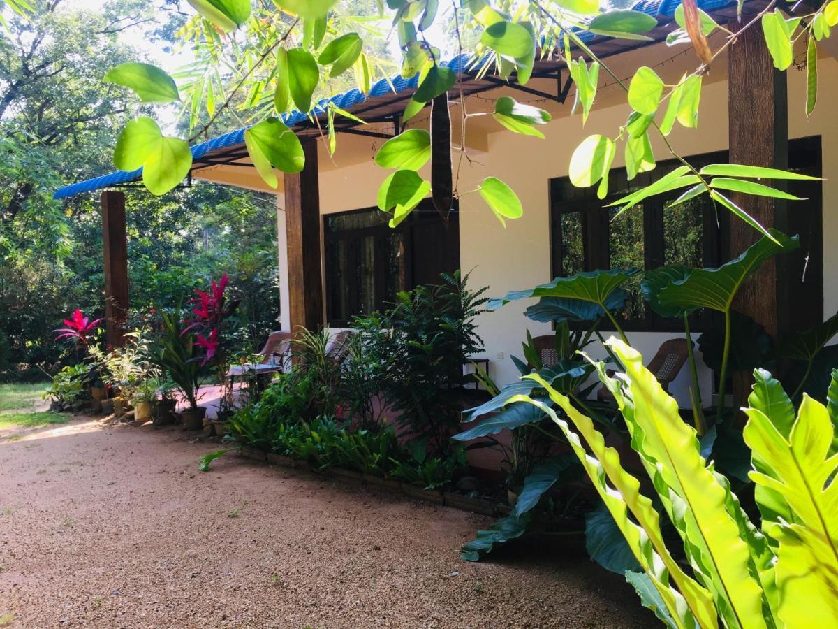 Ferienwohnung Gimansa Rest Sigiriya Exterior foto
